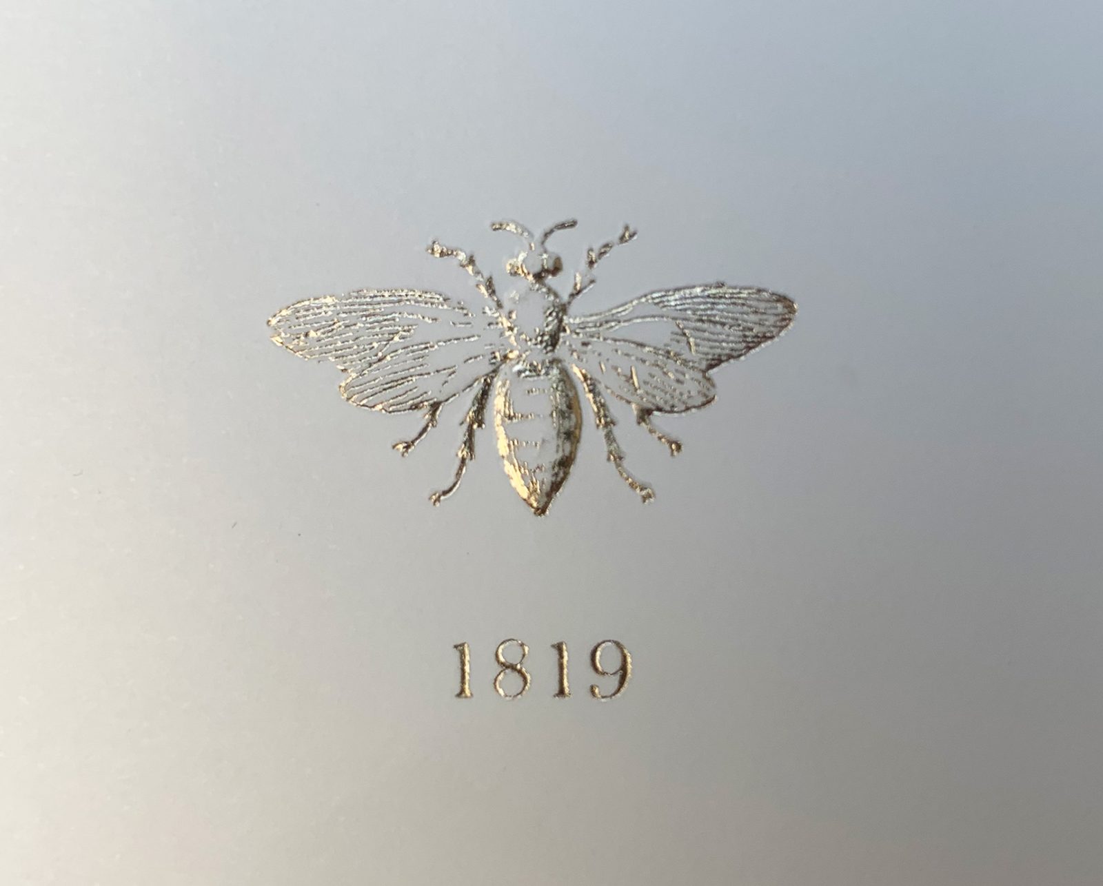 engarde erstegroup 200y 3