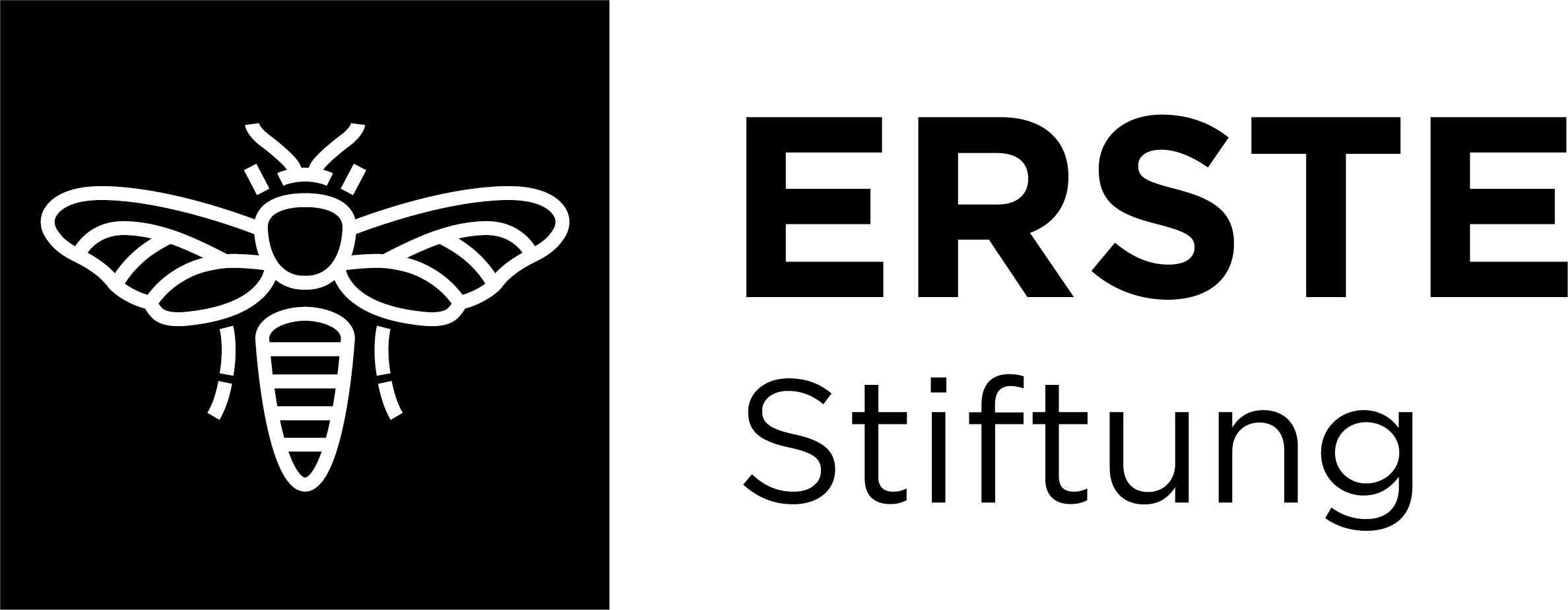 Erstestiftung Logo RGB